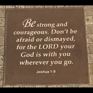 Meet your Posher, Lynne